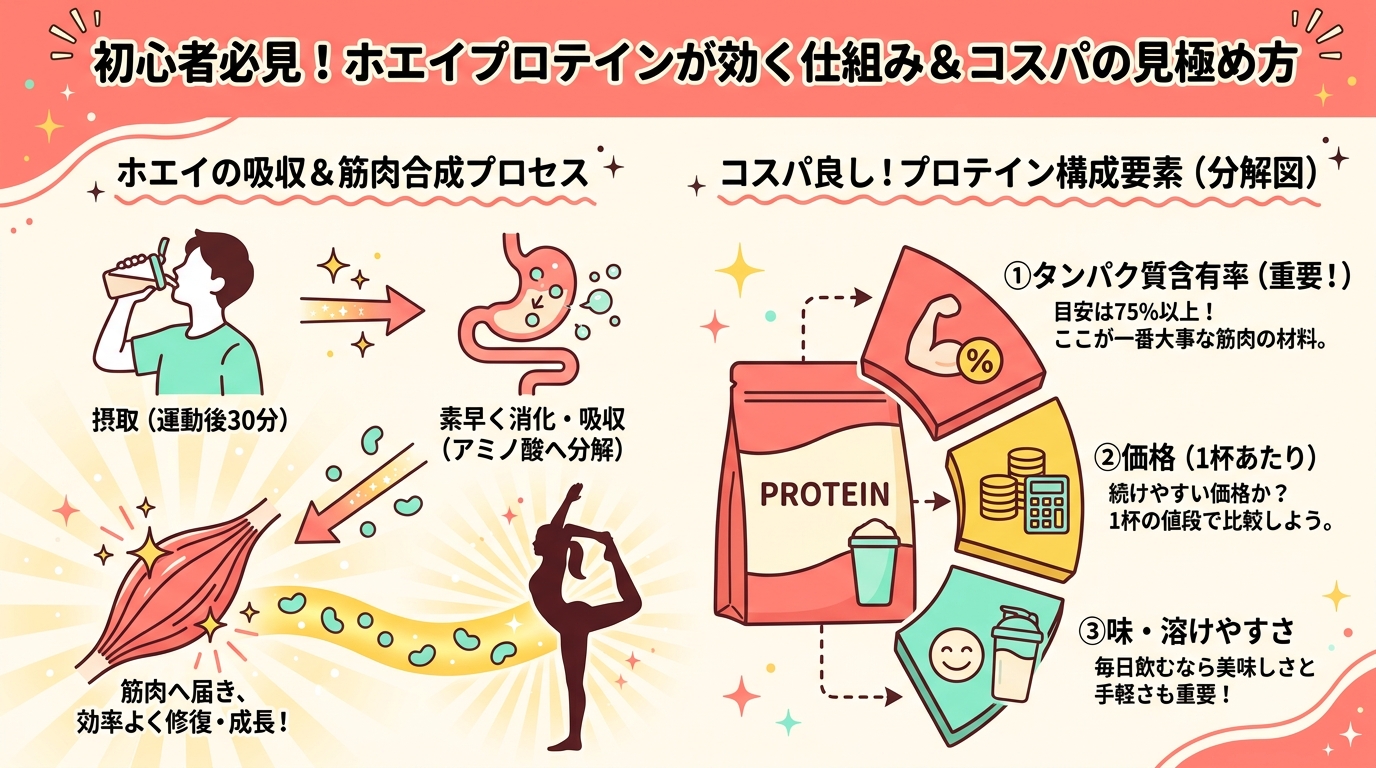 記事本文図解（中盤）