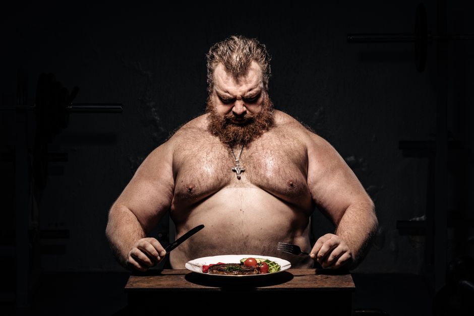 プロテインバー目的別おすすめ比較2026 筋トレ向き・ダイエット向き・間食置き換え・栄養バランスなど